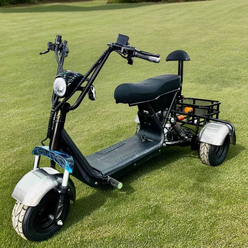 Электротрицикл Gbike TRIKE MINI R 1500W Электротрицикл Gbike TRIKE MINI R 1500W