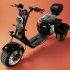 Электроскутер Citycoco Pro Trike 3000 Lux